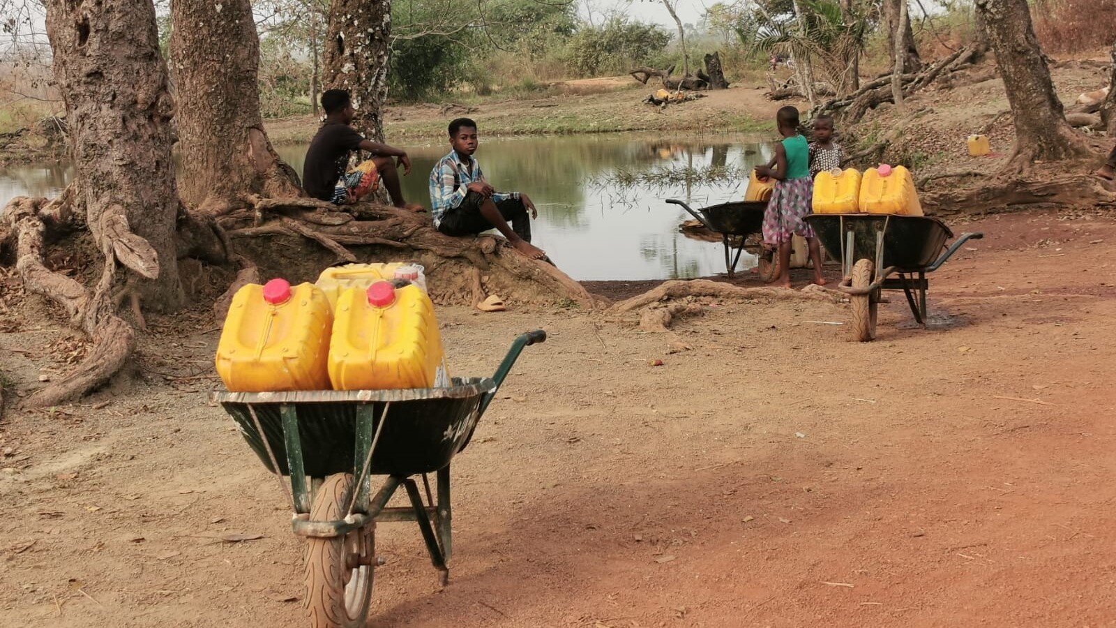 Water from ponds